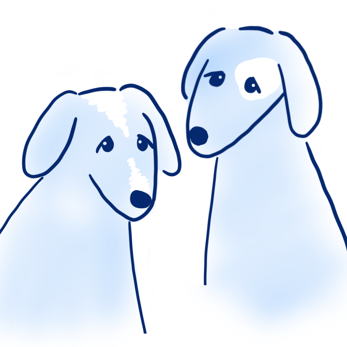 Exercise 8 untitled 3